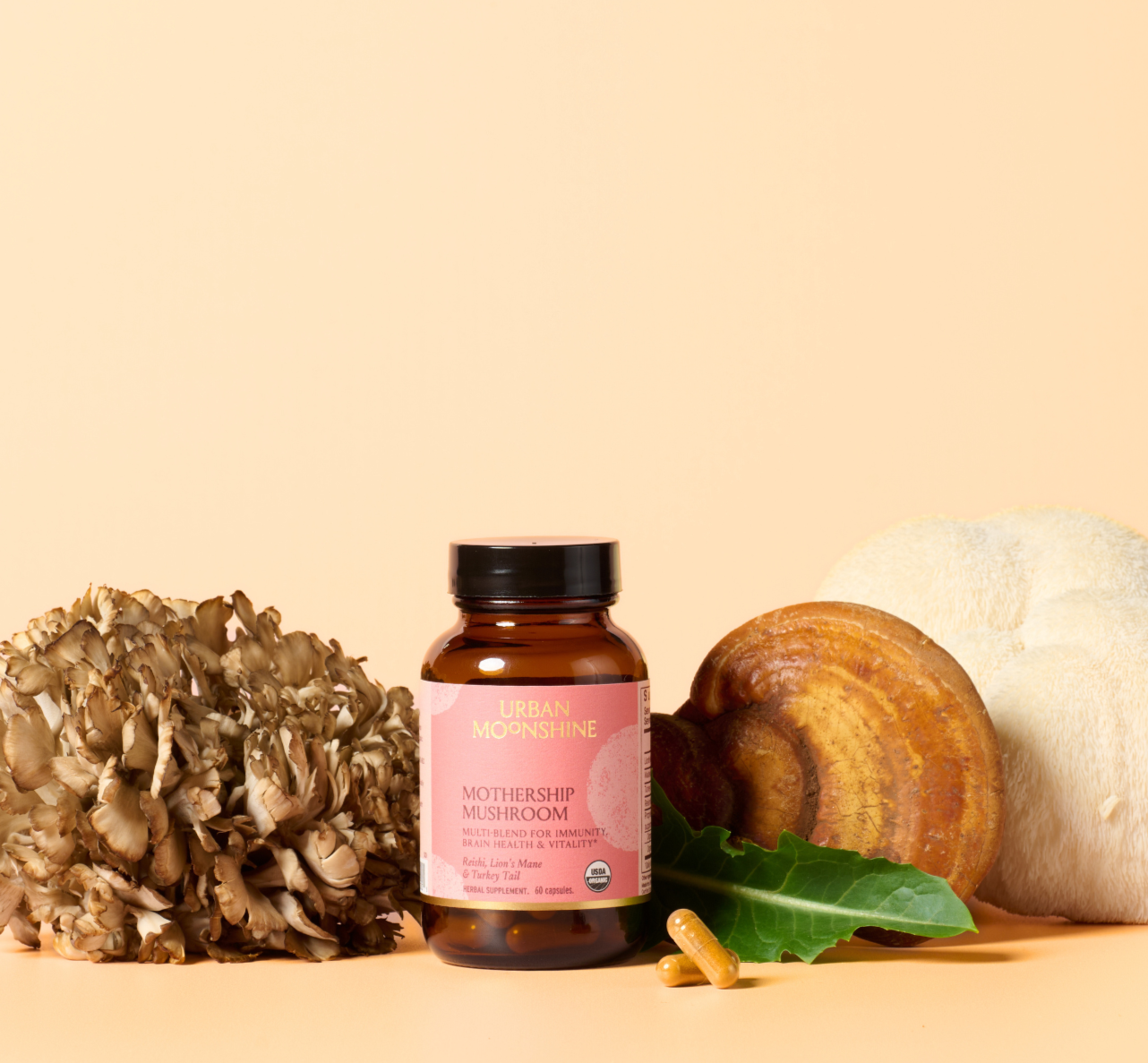 Gut x Immune Health Bundle