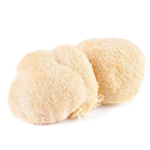Lions Mane