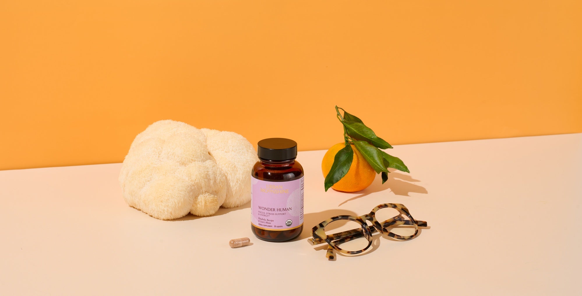 Bottle of Wonder Human with a lion's mane mushroom, citrus, and glasses in front of an orange background