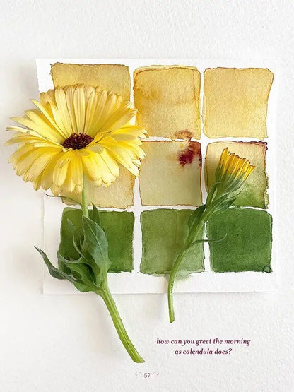 The Generosity of Plants Book