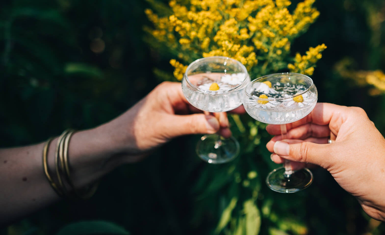 Two hands clinking glasses with a floral background