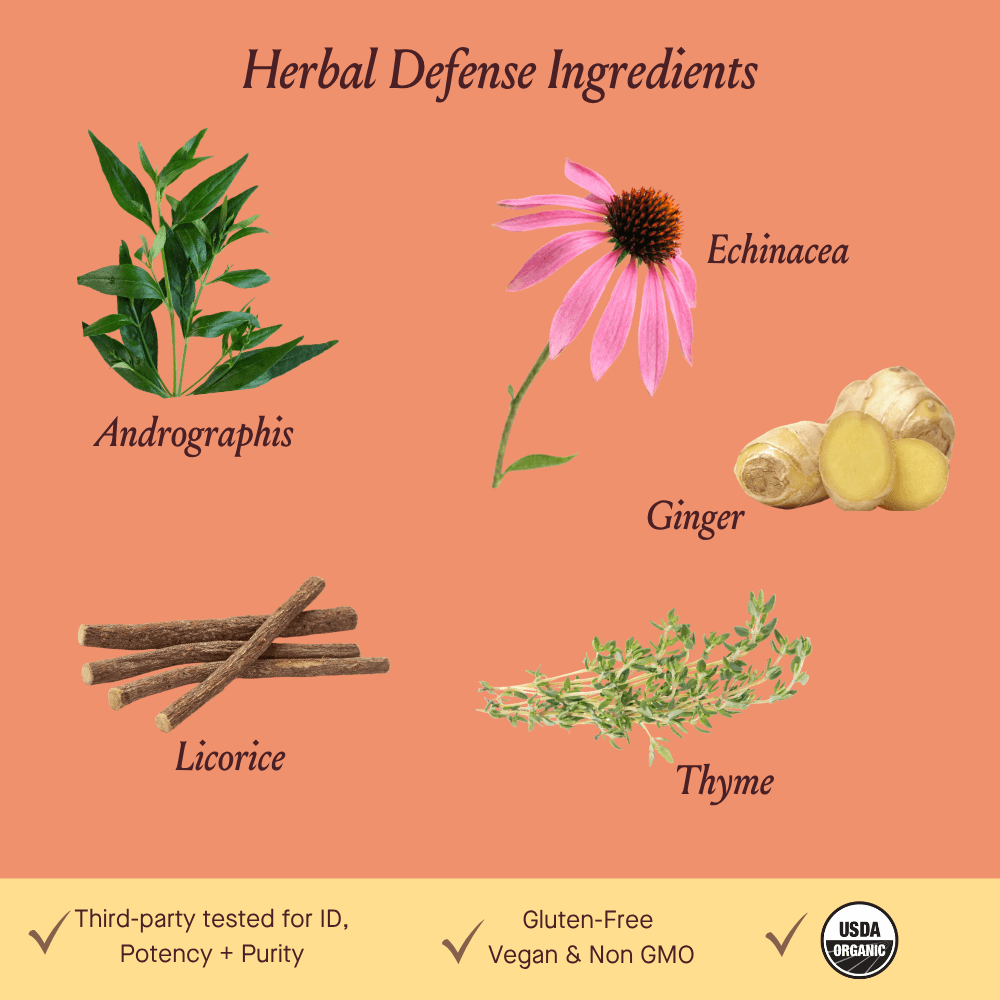 An informational graphic titled 'Herbal Defense Ingredients' on a peach background, showing illustrated botanicals labeled Andrographis, Echinacea, Ginger, and Thyme. A pale yellow band at the bottom includes claims like 'Third-party tested for ID, potency + purity,' 'Gluten-Free,' 'Vegan & Non GMO,' and a USDA Organic seal.