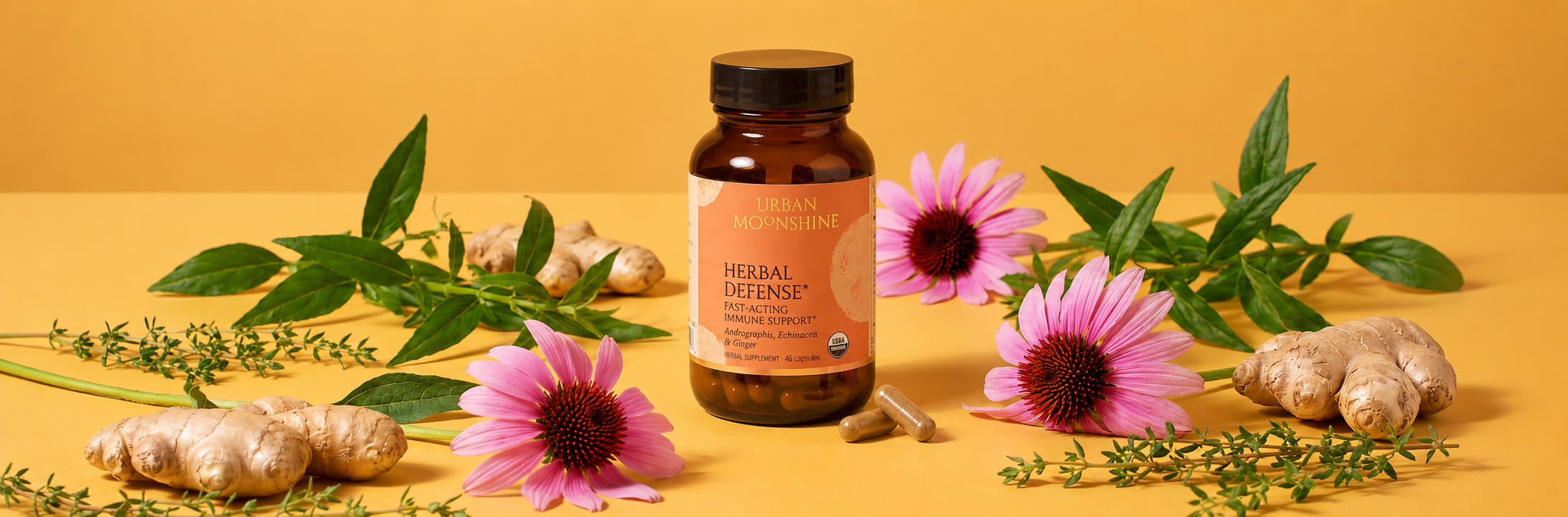 A bottle of Herbal Defense dietary supplement by Urban Moonshine, styled on a warm yellow background with fresh ginger roots, echinacea, and andrographis leaves.