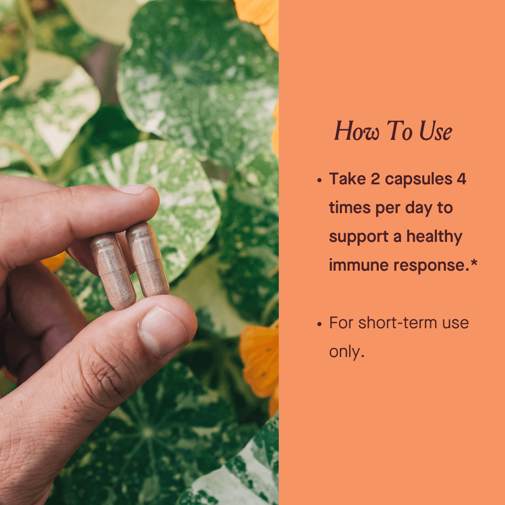 A hand holds two small capsules in front of green leafy plants, with an orange text panel on the right reading 'How To Use' and instructions about taking 2 capsules 4 times per day for immune support.