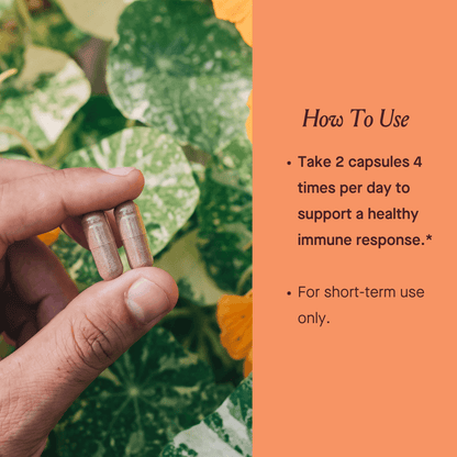A hand holds two small capsules in front of green leafy plants, with an orange text panel on the right reading 'How To Use' and instructions about taking 2 capsules 4 times per day for immune support.