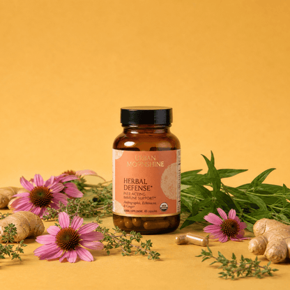 Herbal Defense capsule bottle with plant ingredients on an orange background