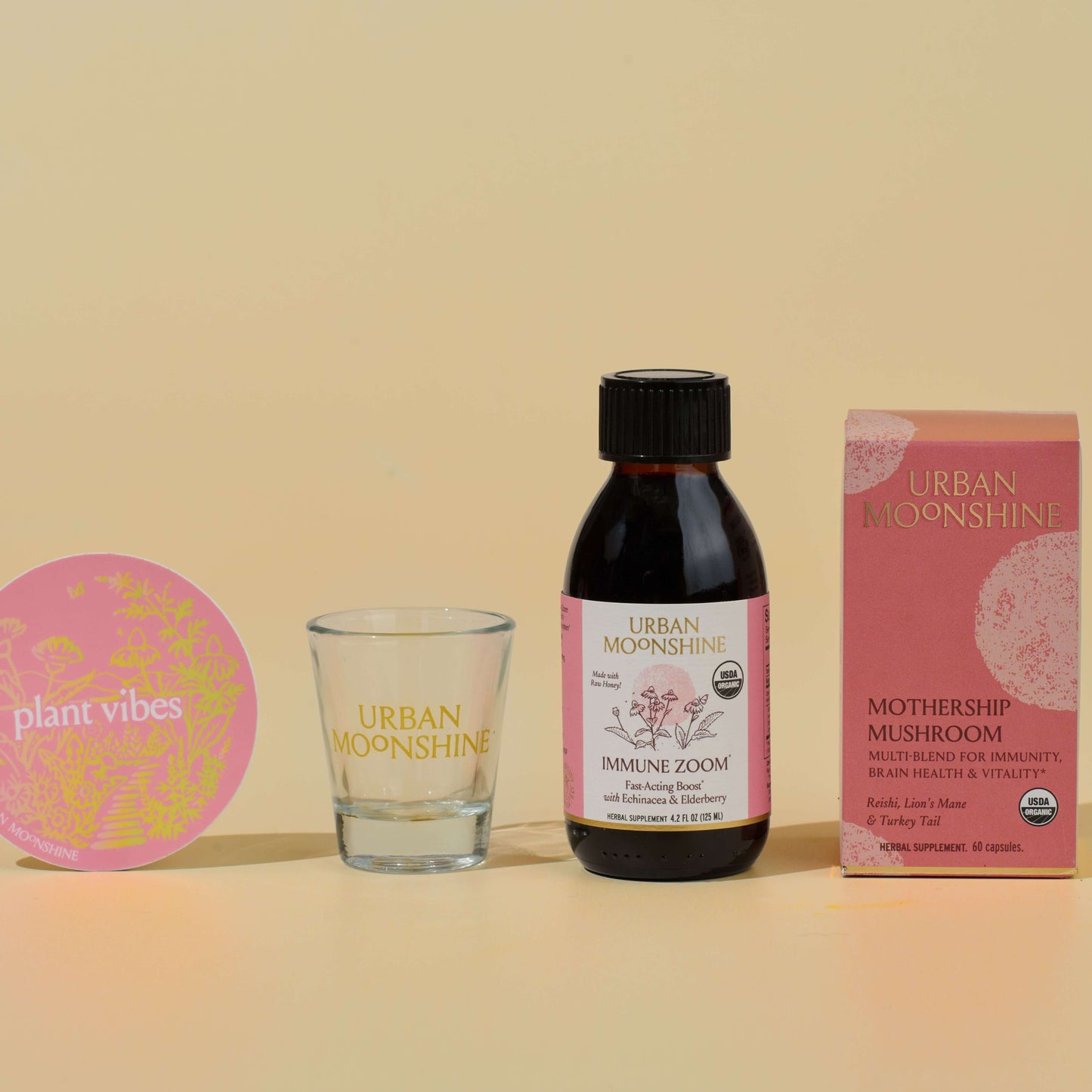 Immune Superhero Kit