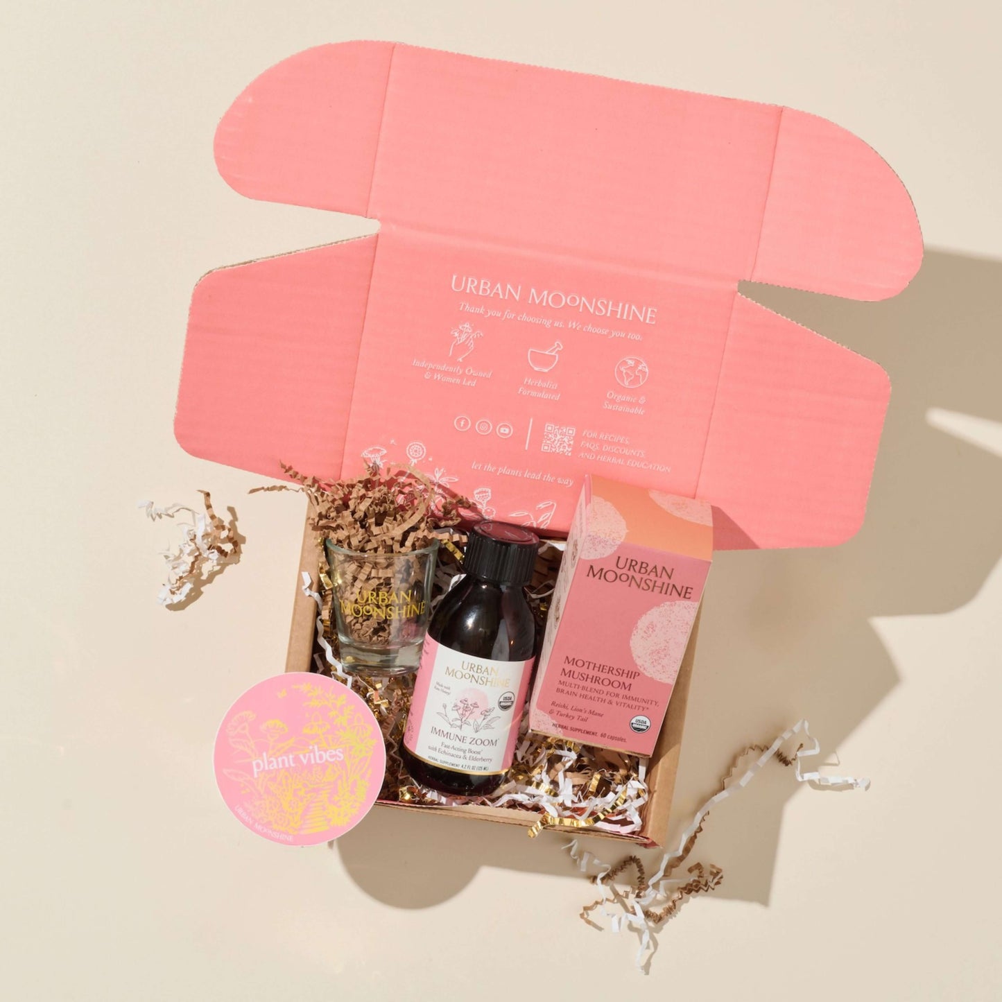 Immune Superhero Kit