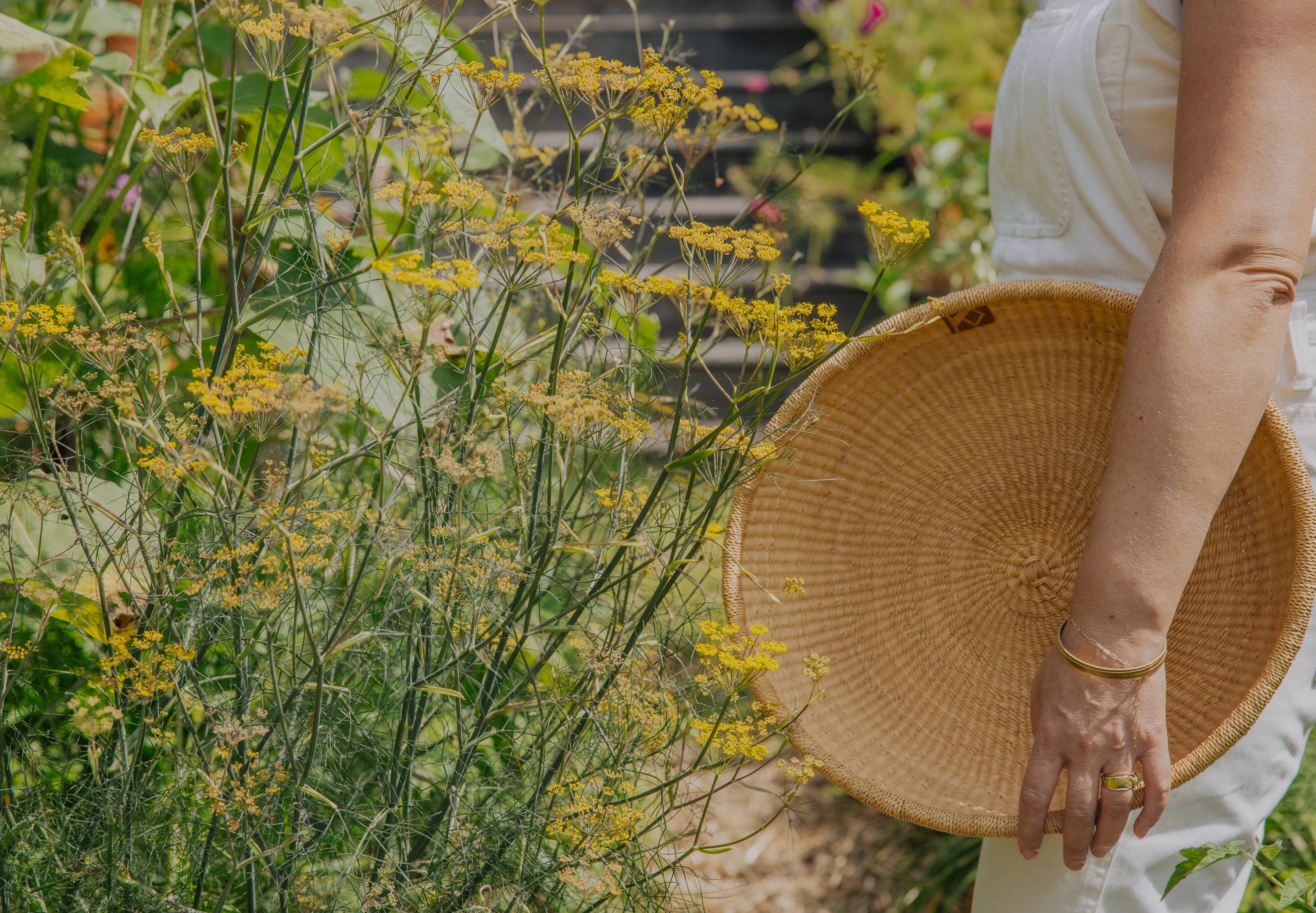 Discover the Best Natural Skincare Routine with Urban Moonshine’s Transformative Essentials