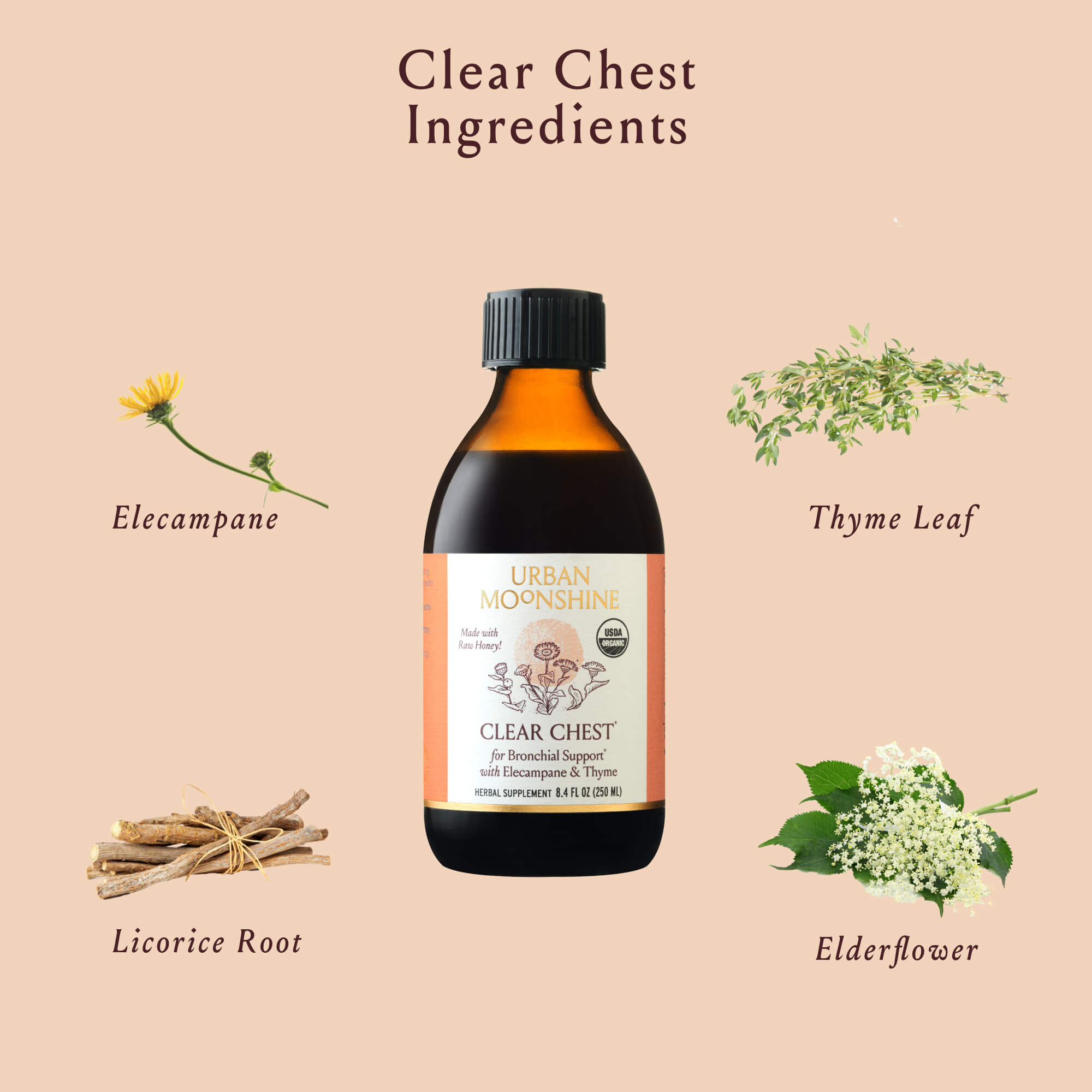 Clear Chest Herbal Syrup Urban Moonshine