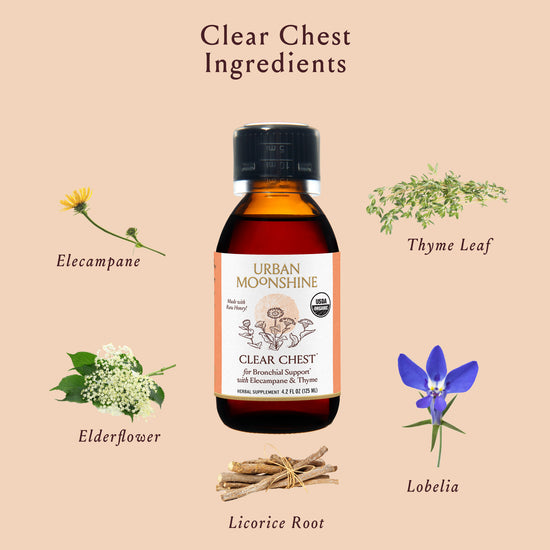 Clear Chest Herbal Syrup Urban Moonshine