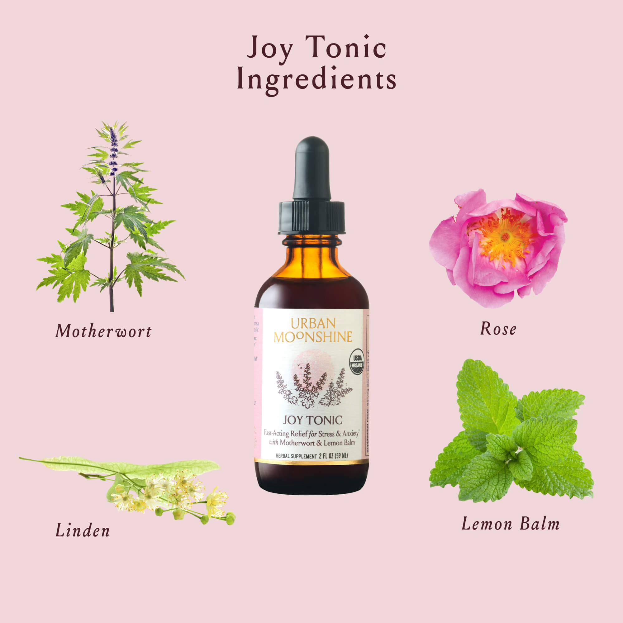 Joy Tonic Urban Moonshine