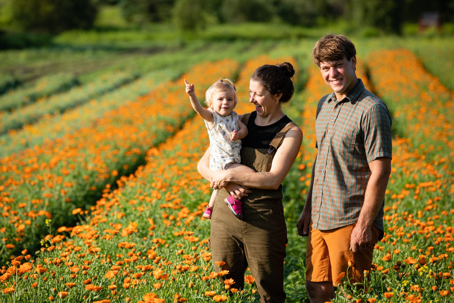 Wilson Herb Farm