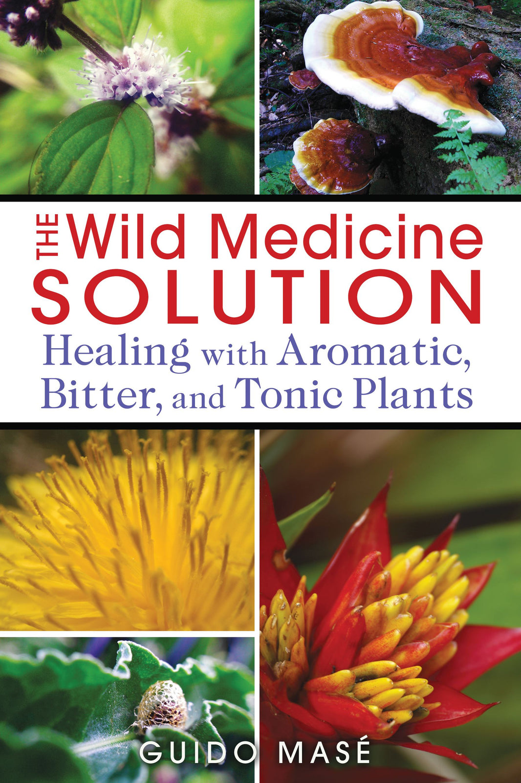 The Wild Medicine Solution Book
