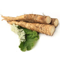 Burdock