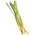 Lemongrass